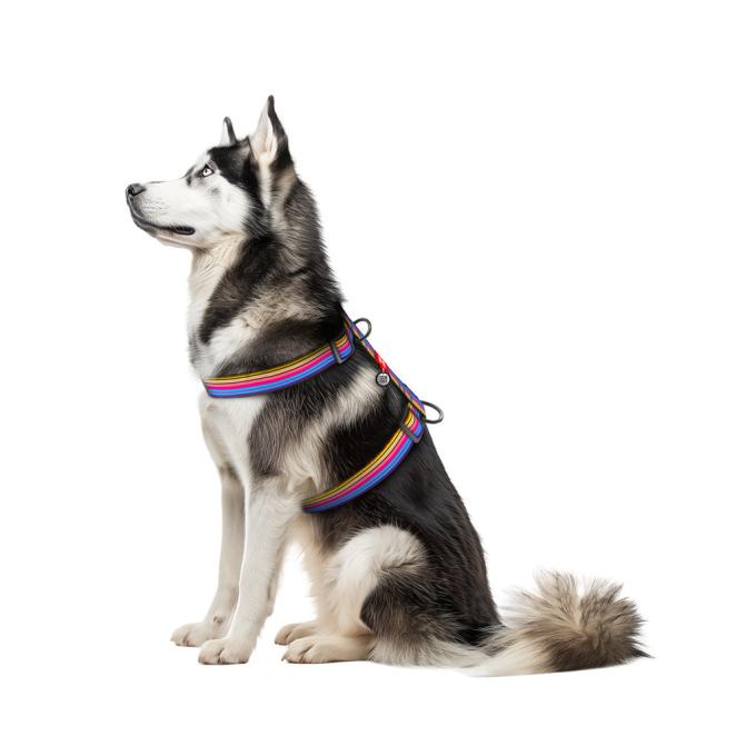 WAUDOG 323-0006