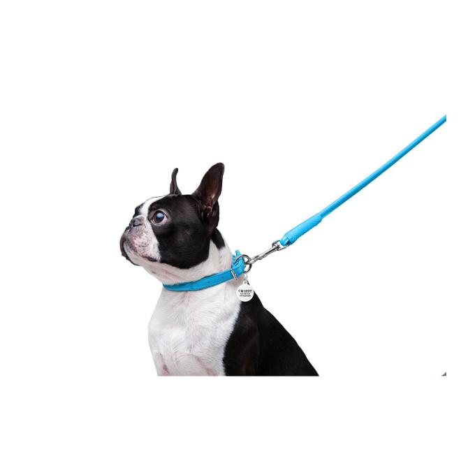 WAUDOG 33772