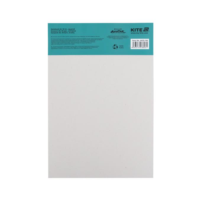 Kite AV25-194