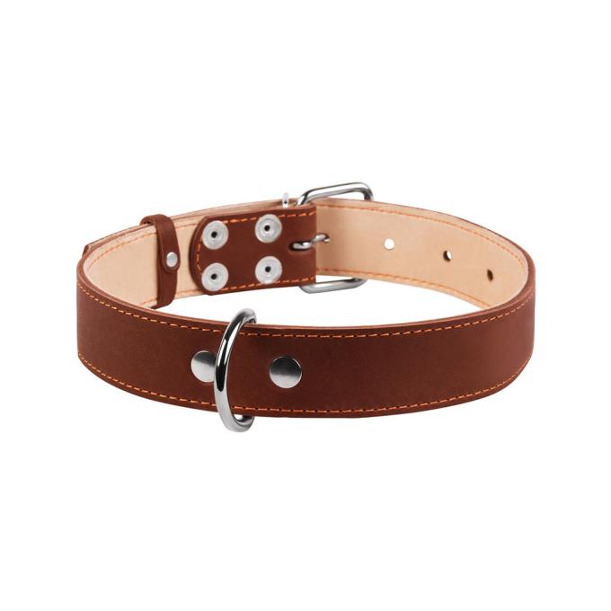 Collar 02796