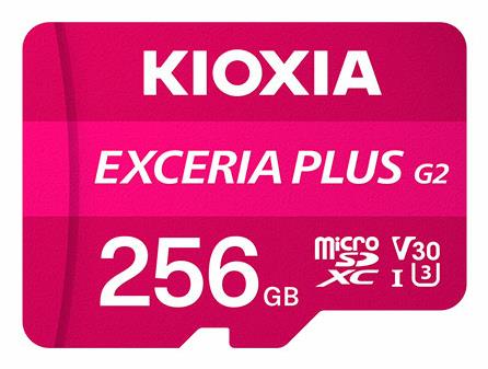 Kioxia LMPL2M256GG2