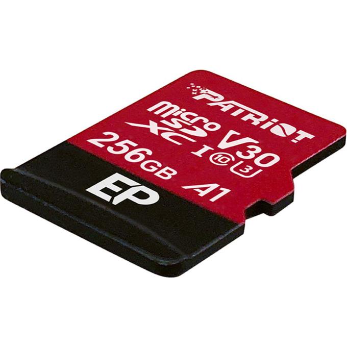 Patriot PEF256GEP31MCX
