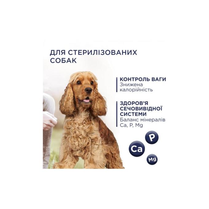Club 4 Paws 4820215367868