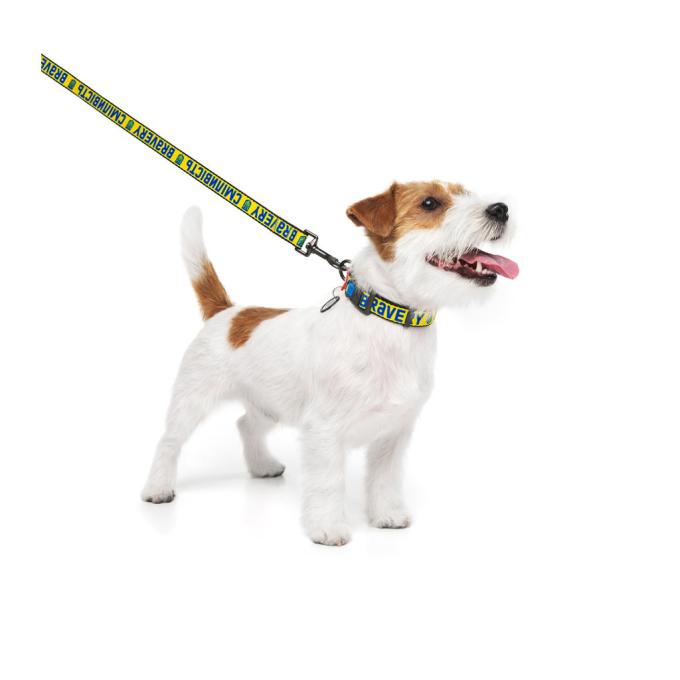 WAUDOG 284-0231