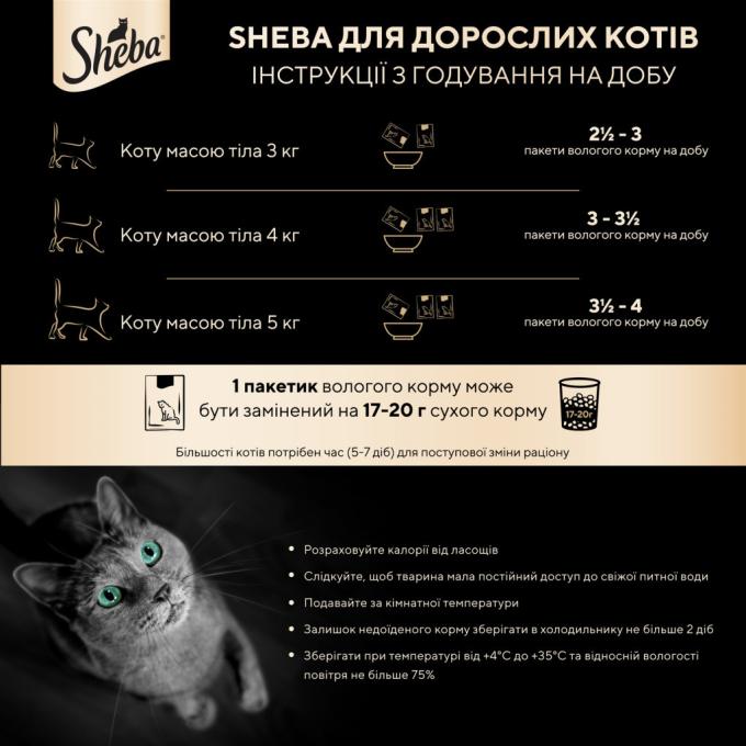 Sheba 4770608265434