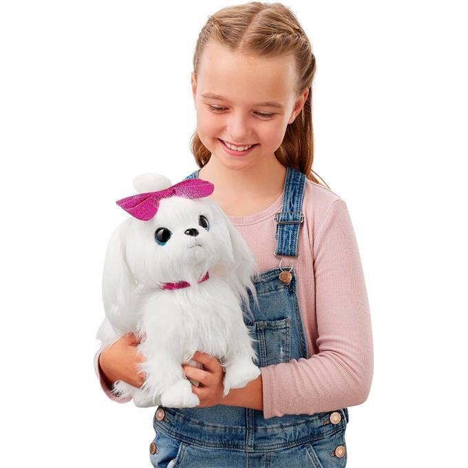 Pets & Robo Alive 9531