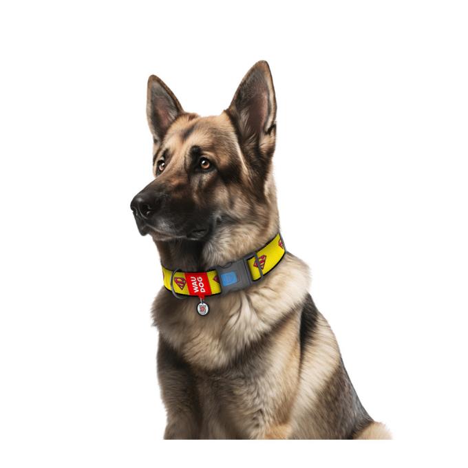 WAUDOG 284-2014