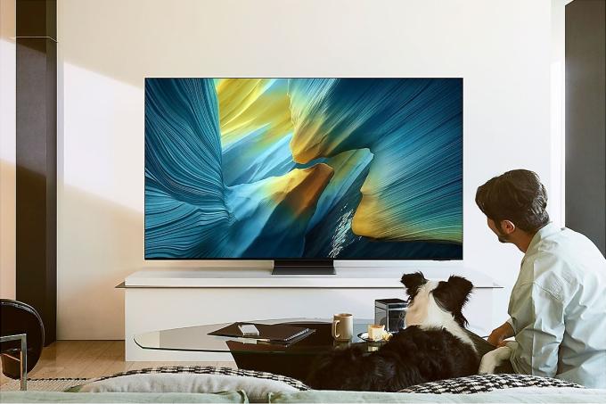Samsung QE65S95FAUXUA