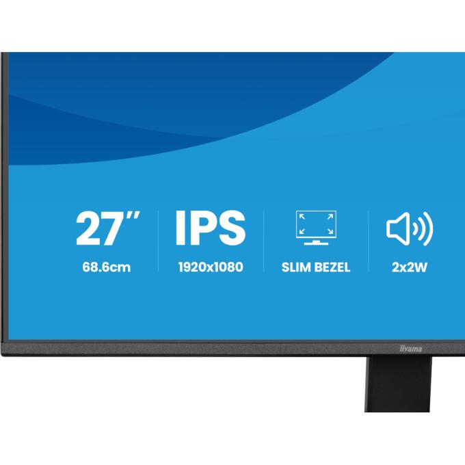 Iiyama X2791HS-B1