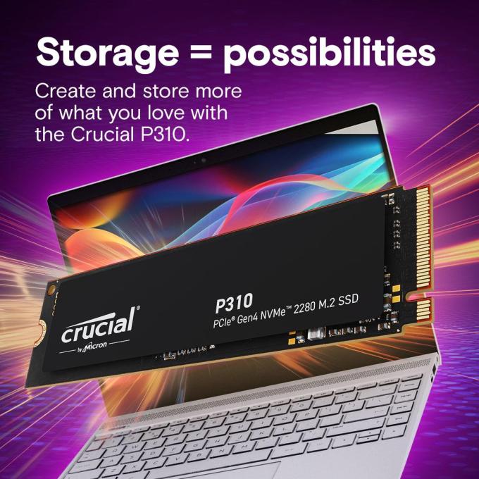 Crucial CT1000P310SSD8