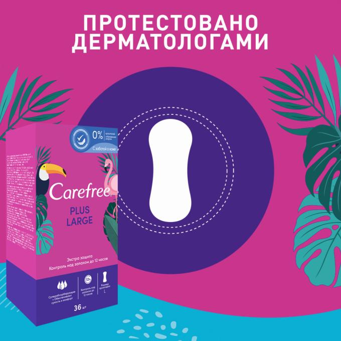 Carefree 3574661604787/3574661487540