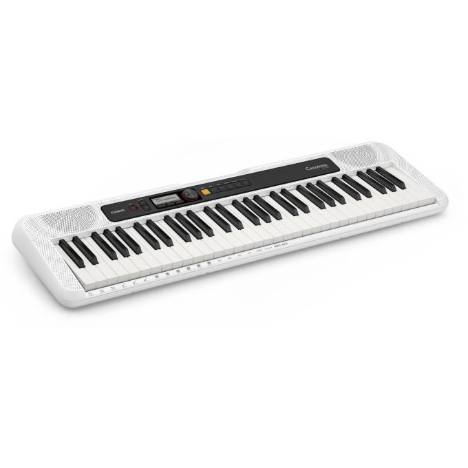 Casio 222029