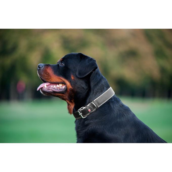 WAUDOG 7202