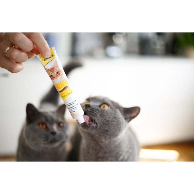 GimCat 4002064421841