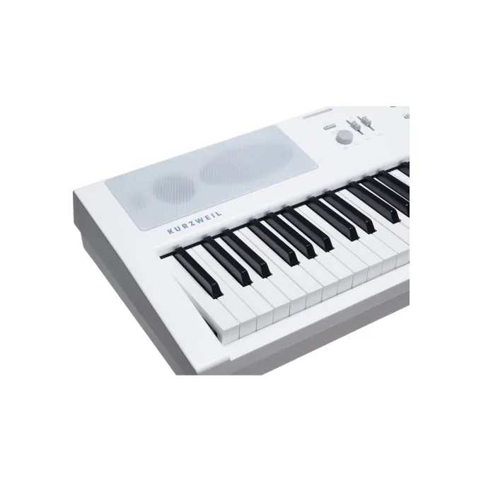 Kurzweil 530040