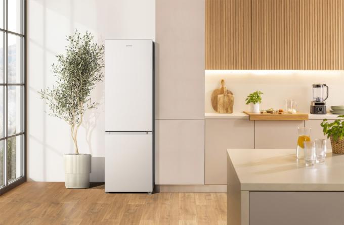 Gorenje RK418DPW4I