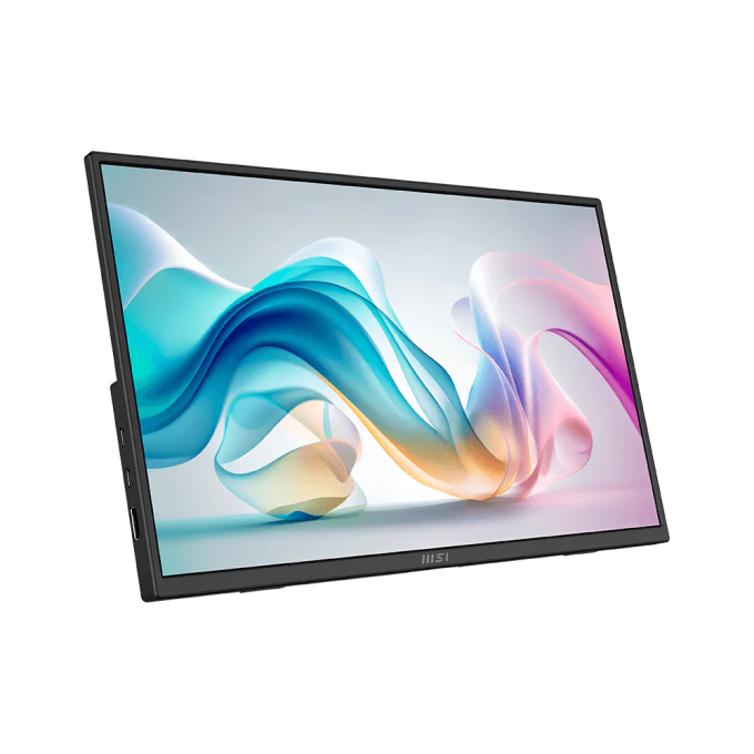MSI PRO MP165 E6