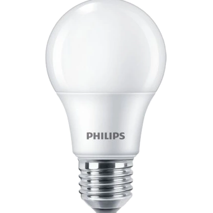 Philips Ecohome LED Bulb