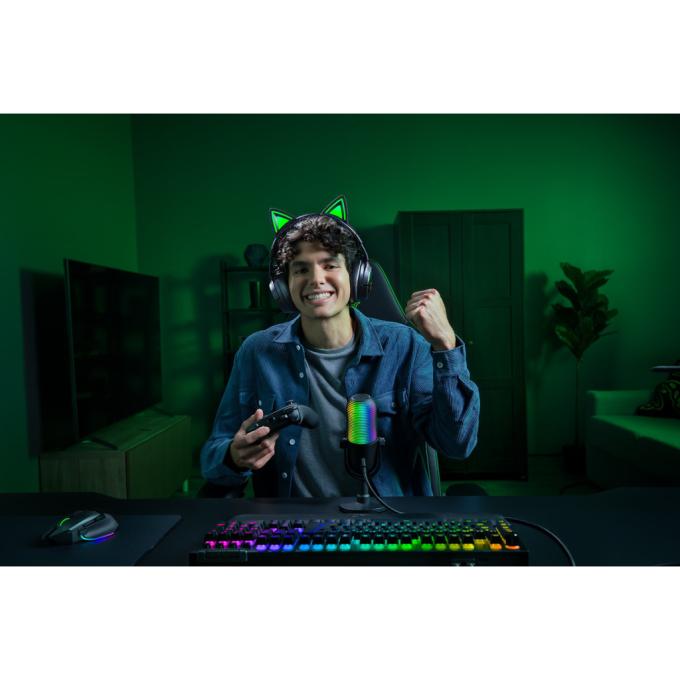 Razer RZ04-05170300-R3M1