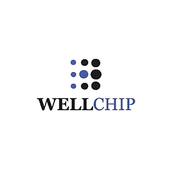 WELLCHIP CHPJ35AU