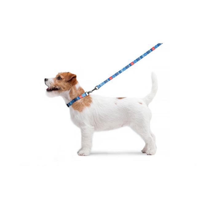WAUDOG 4597