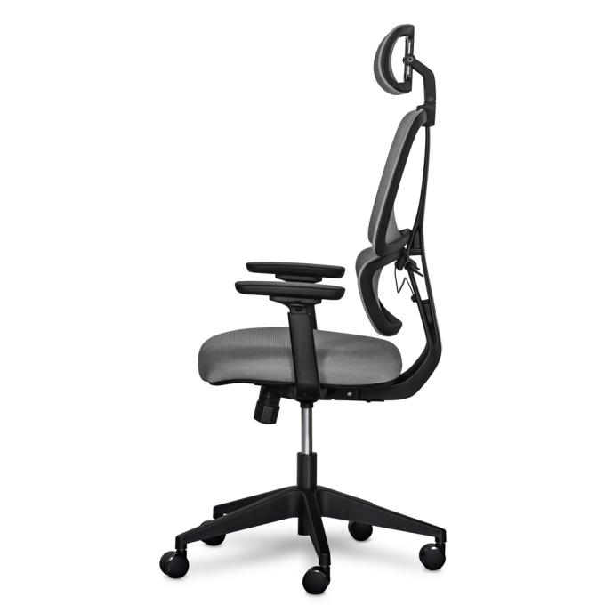 Mealux Y-543 KBG