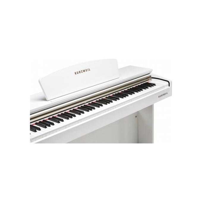 Kurzweil 285608