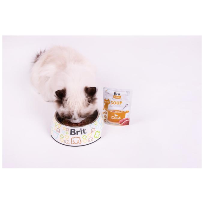 Brit Care 8595602569182