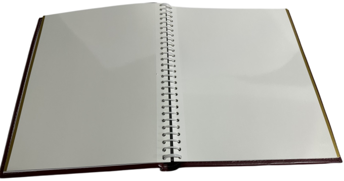 UFO PU-81160 Florentina