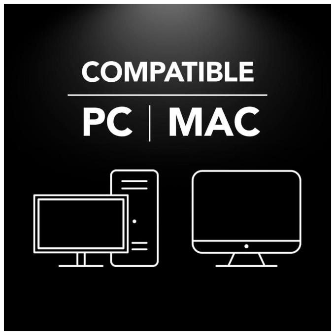 Lexar LJDM400256G-BNBNG