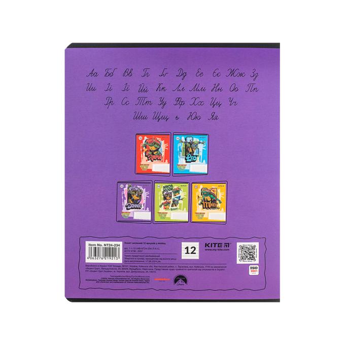 Kite NT24-234