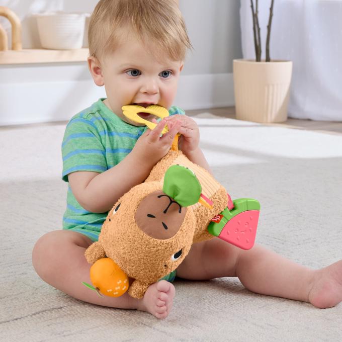Fisher-Price HYR54