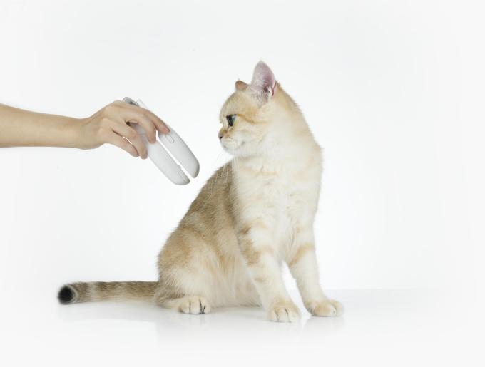 Petkit PK2302