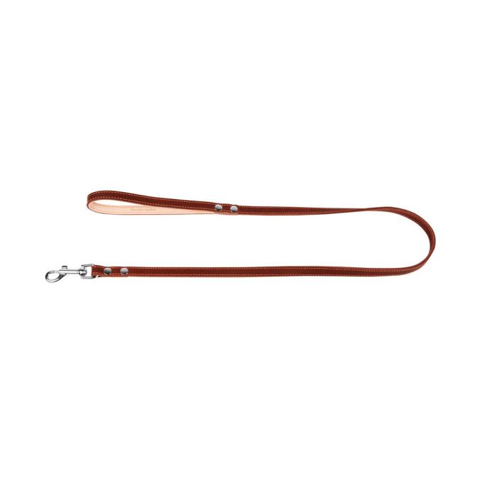 Collar 04526