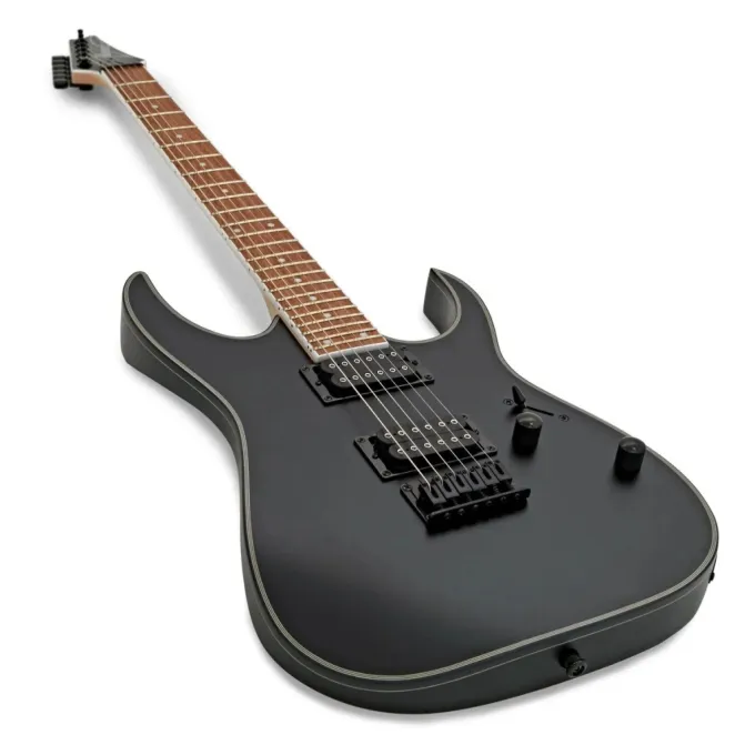 Ibanez 220670