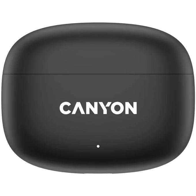 Canyon CNS-TWS9B