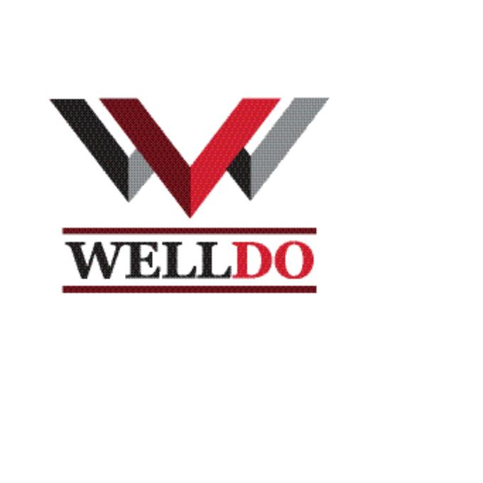 WELLDO RL2-6229-WDS