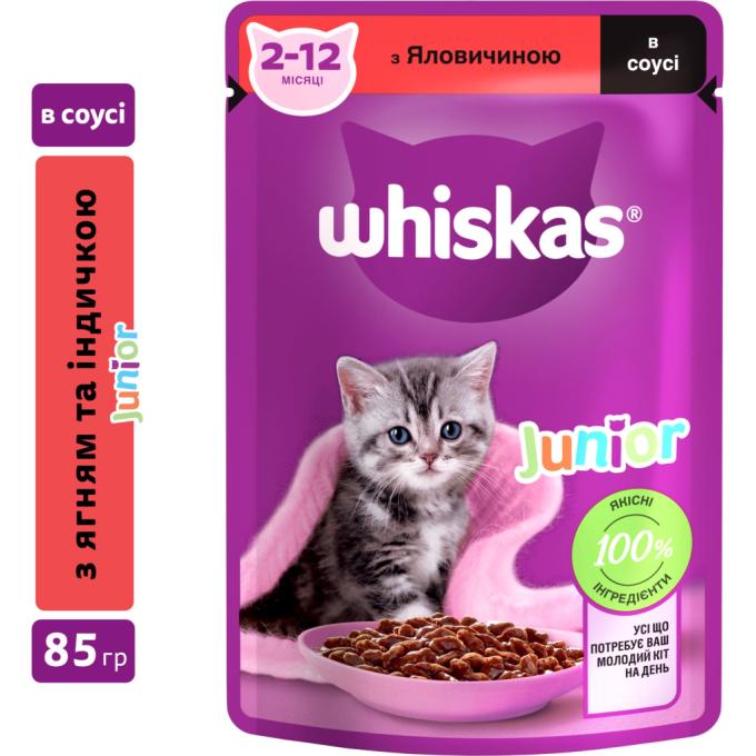 Whiskas 5900951301957