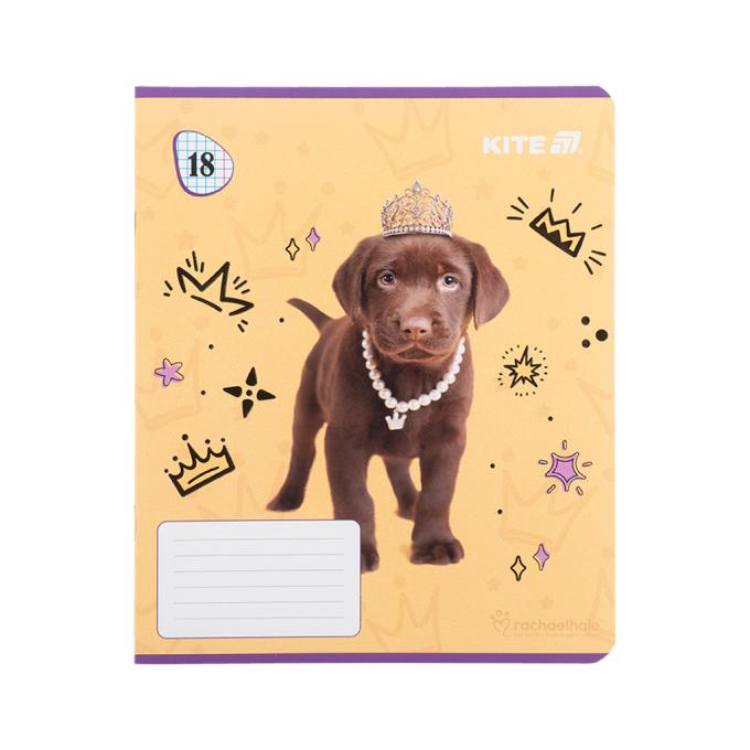 Kite R25-236