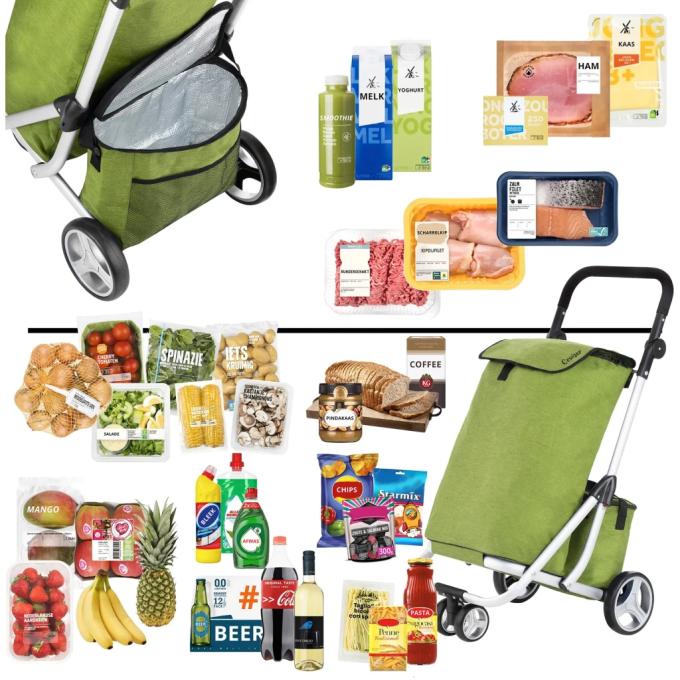 ShoppingCruiser 930792
