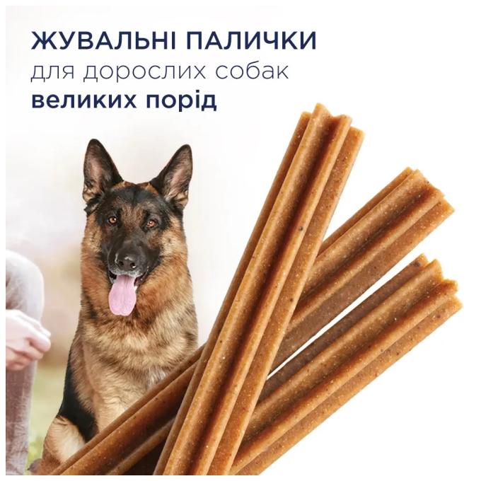 Club 4 Paws 4820215363235