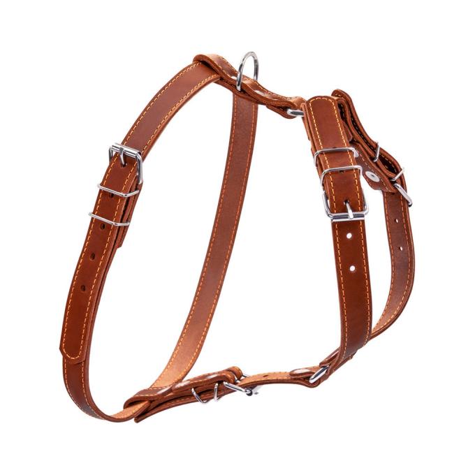 Collar 06366