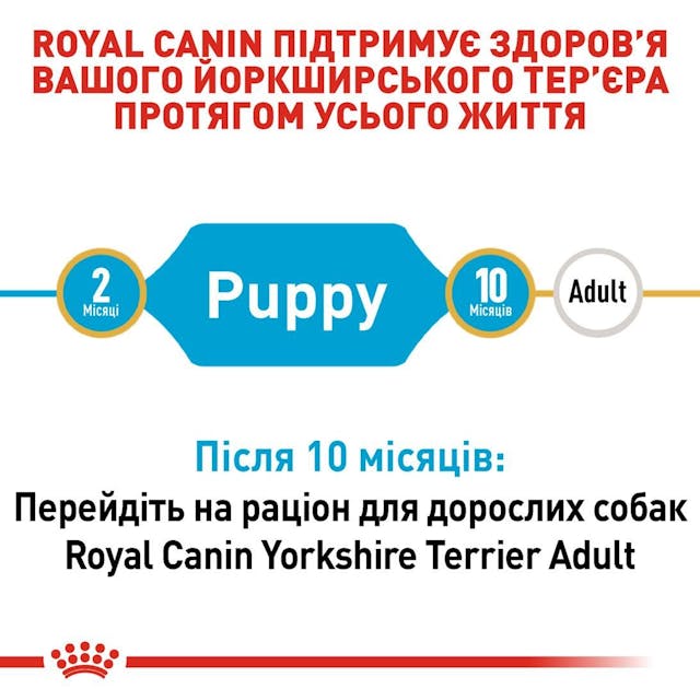 Royal Canin 39720051