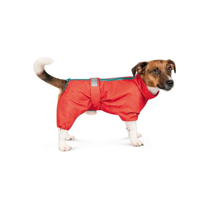 Pet Fashion 4823082425693
