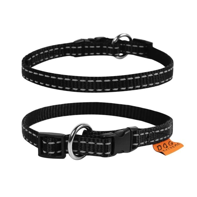 Collar 01571