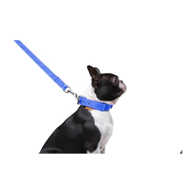 Dog Extreme 42982