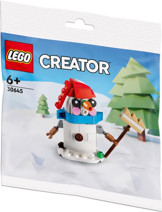 LEGO 30645