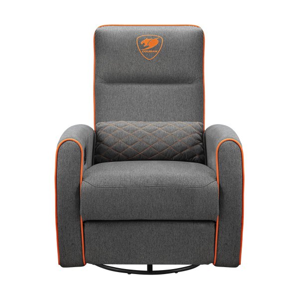 Cougar FIDOM GRAY