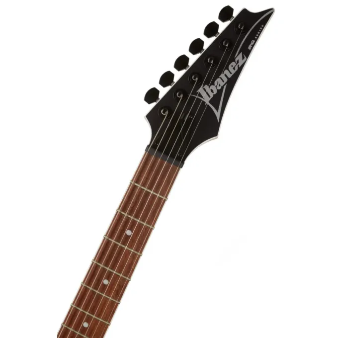 Ibanez 220670