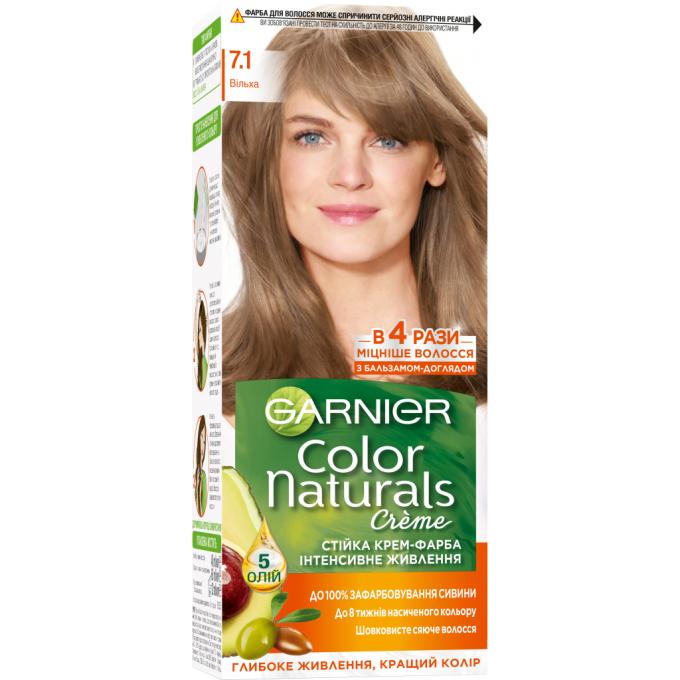 Garnier 3600540676818